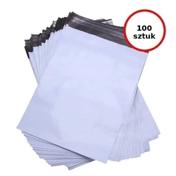 Σακουλάκια Συσκευασίας BSTech foil envelope strong 50mic 240x325 mm 100 pcs FB02 C4