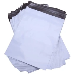 Σακουλάκια Συσκευασίας BSTech foil envelope strong 50mic 580x750 mm 100 pcs. FB11 6XL
