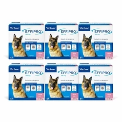 VIRBAC Effipro L (20–40 kg) - σταγόνες κατά ψύλλων και κροτώνων για σκύλους, 24 τεμάχια
