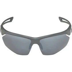 Alpina Nylos HR Sunglasses Cat. 3 Grey