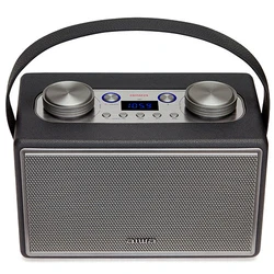 AIWA Portable Bluetooth Speaker Leatherette 50W RMS with Mic and Guitar Input