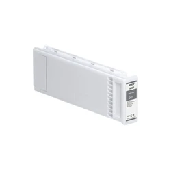 Μελάνι Epson Dark Gray C13T800700
