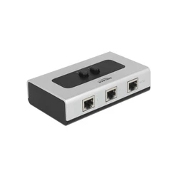 KVM & Data Switch Delock RJ45 2->1 + 1->2 Bidirectional