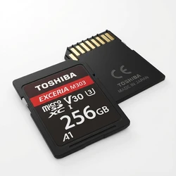 Κάρτα Μνήμης SD 256GB Toshiba Exceria R100 N203