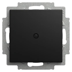 Διακόπτης Τοίχου Busch-Jaeger BJ 2538-915 Blanking plate with mounting ring, Busch-balance SI