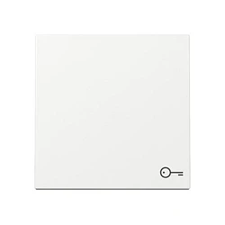 Διακόπτης GIRA 328703 Rocker Symb. Door System 55 ReinWhite