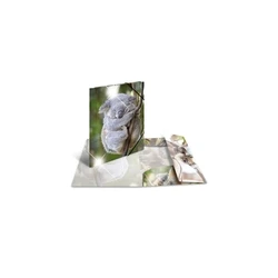 HERMA Sammelmappe Glossy Tiere A4 PP Koala (Polypropylene)