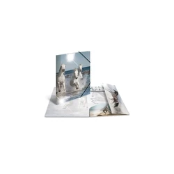 HERMA Sammelmappe A4 Glossy Horses Polypropylene Folder (A4 folder with rubber band)