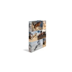 HERMA Ring Binder A4 Cardboard 4D 'Horses' (MPN 19360)