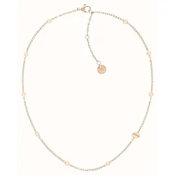 Γυναικείο Κολιέ Tommy Hilfiger 2780898 (44cm) από Ατσάλι 