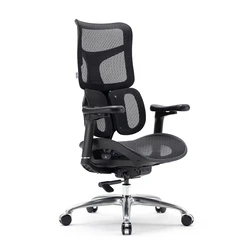 Καρέκλα Γραφείου Sihoo Ergonomic DORO S100 Black