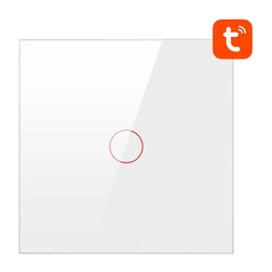 Διακόπτης Τοίχου Smart WiFi Avatto TS02-EU-W1 1 way TUYA (white)