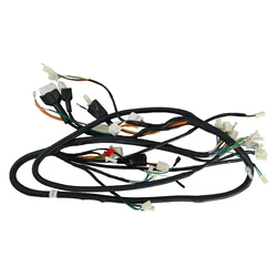 Ανταλλακτική Κύρια Znen καλωδίωση 32100-AHE2-9002 για Fantasy