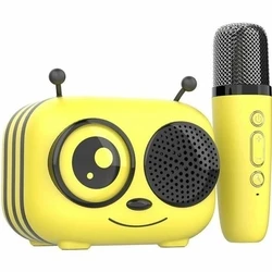 Karaoke CGV with wireless microphone - Diablo