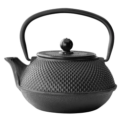 Bredemeijer Jang Cast Iron Teapot with Filter 800 ml Black (G001Z)