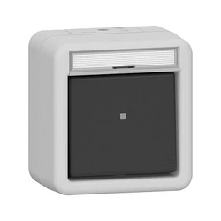 GIRA 315630 Wipptaster Wechsler BSF WG AP Γκρι