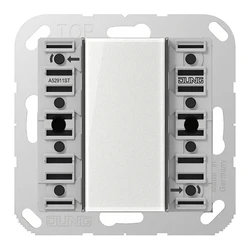 Jung A 52921 ST KNX Universal Τροφοδοτικό/Μονάδα Πλήκτρων, διπλό (2πλή), F50, σειρά AS/A