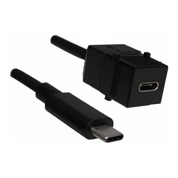 Bachmann Keystone USB 3.1 Τύπου C (Θηλυκό–Αρσενικό), καλώδιο 0,5 m, Power Delivery 60 W