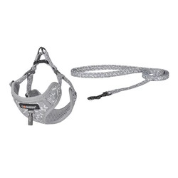 Σαμαράκι Dogness walking set leash 1,5m+harness for dog (light gray)
