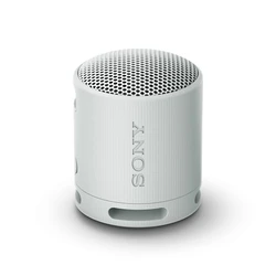Φορητό Ηχείο Bluetooth Sony SRS-XB100 Γκρι