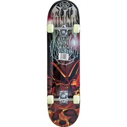 Skateboard Amila 48937 Basic