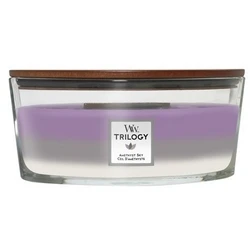 WoodWick Trilogy Αρωματικό Κερί σε Βάζο Amethyst Sky 453,6g