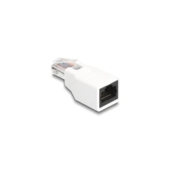 Delock RJ50 Adapter plug to jack white (10P/10C)