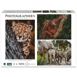 Παζλ Ambassador Wildlife Families 3x 1000 Pieces (Donal Boyd)
