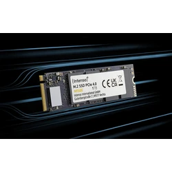 Σκληρός Δίσκος Intenso M.2 SSD PCIe MI500 1TB Gen.4x4 NVME 1.4 retail