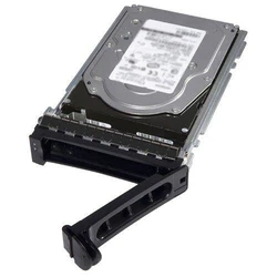 Σκληρός Δίσκος SSD Dell 400-BEGI 2,5" 2,4 TB