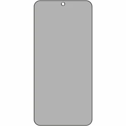 Screen Protector E.V.I Displex Privacy Glass For Samsung Galaxy S24+