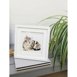 Κορνίζα τοίχου Deknudt S65KK1 white 13x13 Wood double Passepartout