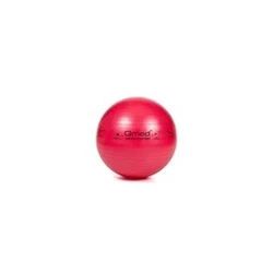 Μπάλα Γυμναστικής MDH ABS rehabilitation ball with pump 55cm