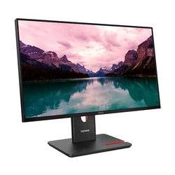 Monitor 24" Lenovo ThinkVision T24-40 (64A4MATXEU)