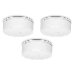 Ανιχνευτής Mονοξειδίου Alecto Wireless connectable 10 year, 3 pack