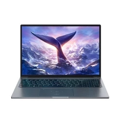 Laptop Blackview 16" GamiBook-8 Ryzen 7 7735HS 32GB 1TB BT BLKB FPR W11Pro Grey (GamiBook-8)