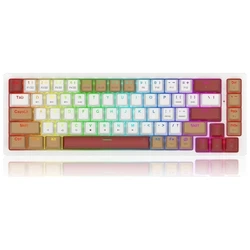 Gaming Πληκτρολόγιο Redragon K677WLR-RGB-PRO Rammus