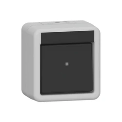 Διακόπτης GIRA 310630 rocker switch AusWe WG AP Gray