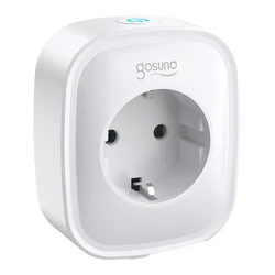 Gosund SP112-M Smart Single Socket with 2 USB-A Ports (Wi‑Fi Smart Plug)