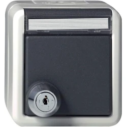 GIRA 456730 SCHUKO KD Πρίζα Schutzkontakt με καπάκι, κλείδωμα (KD - κωδικοποίηση) και πεδίο σήμανσης, επιφανειακή, γκρι