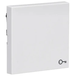 Διακόπτης GIRA 328703 Rocker Symb. Door System 55 ReinWhite