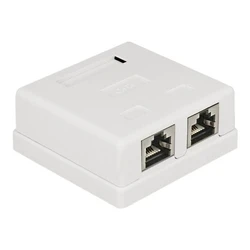 Πρίζα Δικτύου DeLock Modular Wall - wall socket