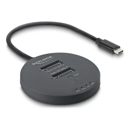 Delock Docking Station για Σκληρούς Δίσκους PCIe με σύνδεση Thunderbolt / USB-C (64364)