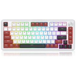 Redragon Stormhunter K721WRB-RGB Gaming Πληκτρολόγιο (75%)