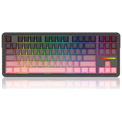 Redragon K728SP-RGB-PRO Antonium PRO Mechanical RGB Keyboard 80% TKL (87 keys)