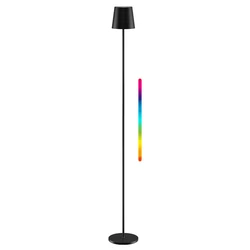 GOOBAY Table Lamp 76573 RGBW, Dimmable, Rechargeable, up to 122.3 cm, Black