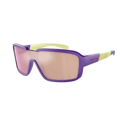 Arnette Ανδρικά Γυαλιά Ηλίου με Μωβ Σκελετό AN4335 29377J
