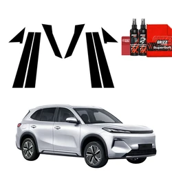 GrizzGlass BodyShield Black Car Pillars Protective Film Geely Starray EM-i (2025-2026) [8in1]