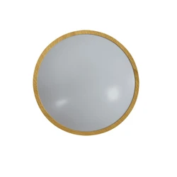 Πλαφονιέρα LED Silver Electronics 490511 