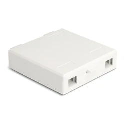 Κυτίο σύνδεσης οπτικών ινών Delock 87139 τοίχου, 2x SC Simplex/LC Dublex